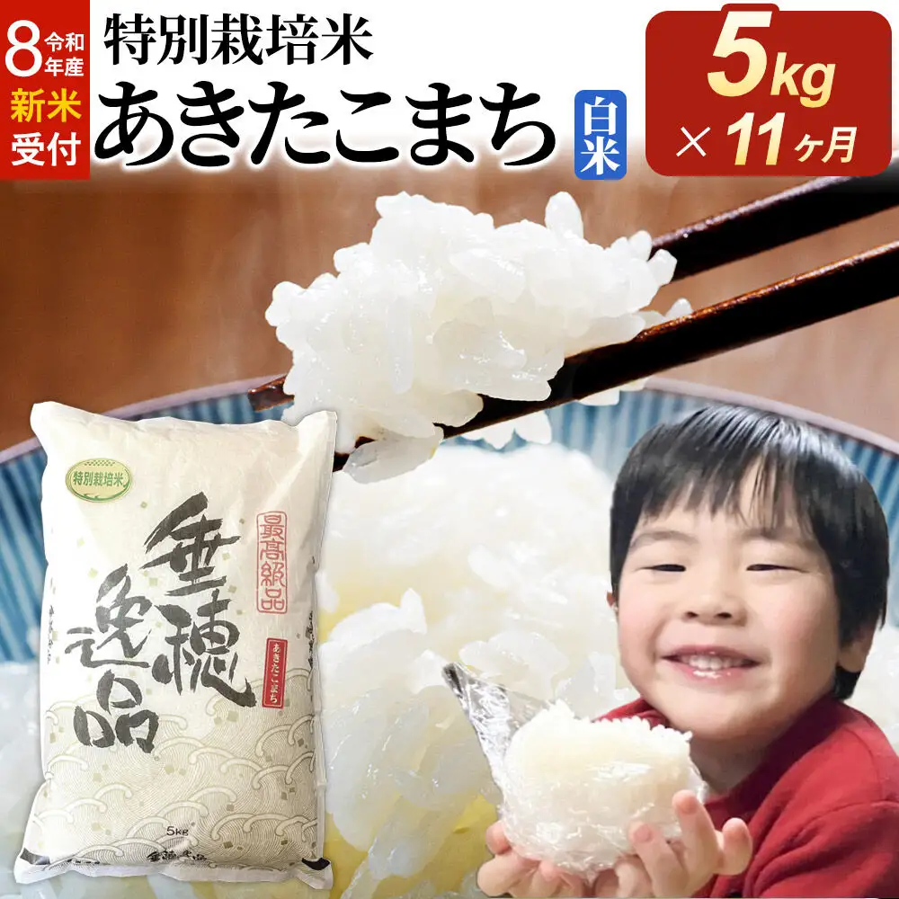 ＜令和8年産 新米受付＞《定期便11ヶ月》米 特別栽培米 あきたこまち【白米】5kg×1袋