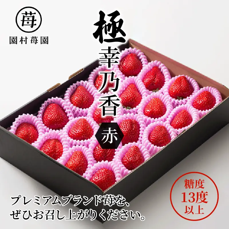 【先行受付】1月発送 園村苺園 ★糖度13度以上保証★ブランド苺「極幸乃香（きわみさちのか）」500ｇ_U74-0049_01