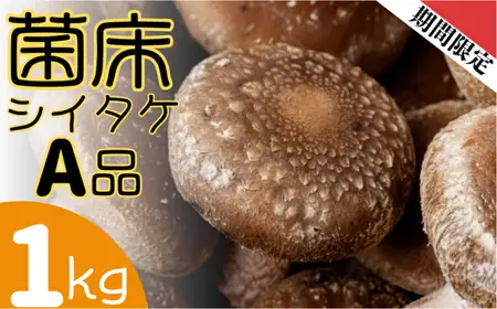 ファーム吉五郎　菌床シイタケA品1kg