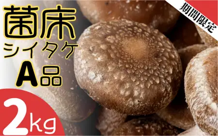 ファーム吉五郎　菌床シイタケA品2kg