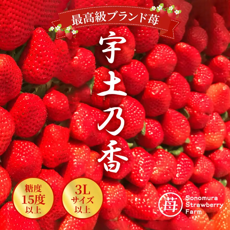 【先行受付】【1月発送】園村苺園 ★最高級苺★糖度15度以上＋3Lサイズ以上★「宇土乃香」苺500ｇ_U74-0051_01