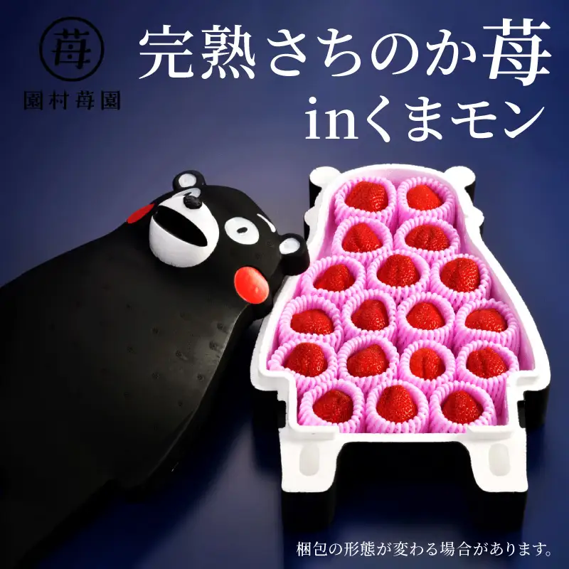 【先行受付】1月発送 園村苺園 完熟さちのか苺 in くまモン_約500ｇ_U74-0052_01