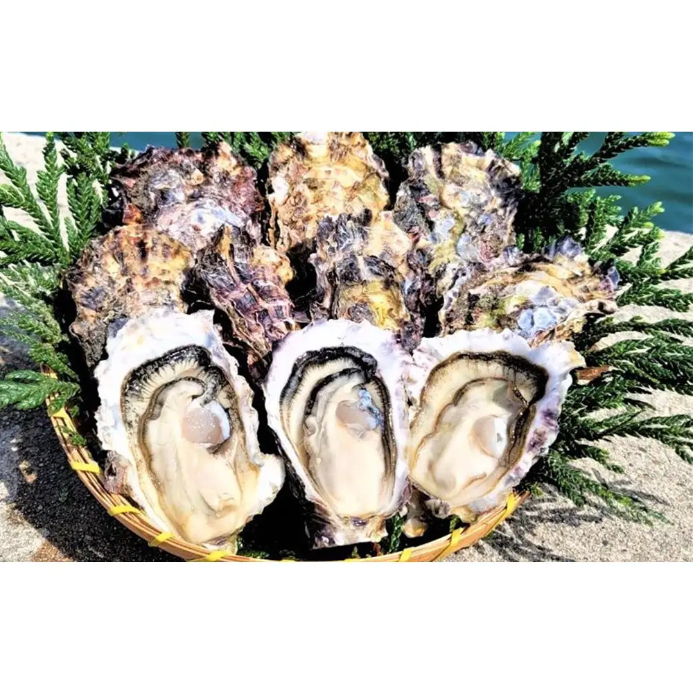 能登穴水の牡蠣（殻付き）　加熱用　5kg