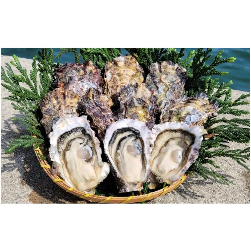 能登穴水の牡蠣（むき身）　加熱用　1.0kg