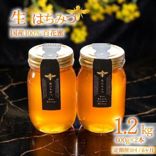 蜂蜜 ローハニー 生はちみつ 600g×2本 定期便 国産 百花蜜 下田 非加熱