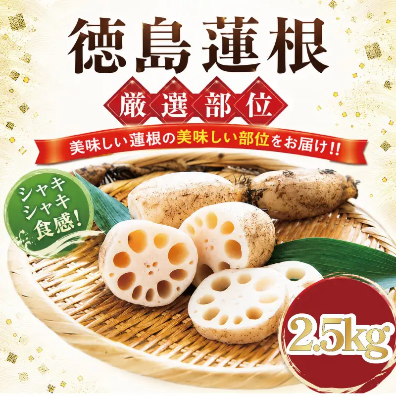 蓮根 厳選 こだわり部位セット 2.5kg