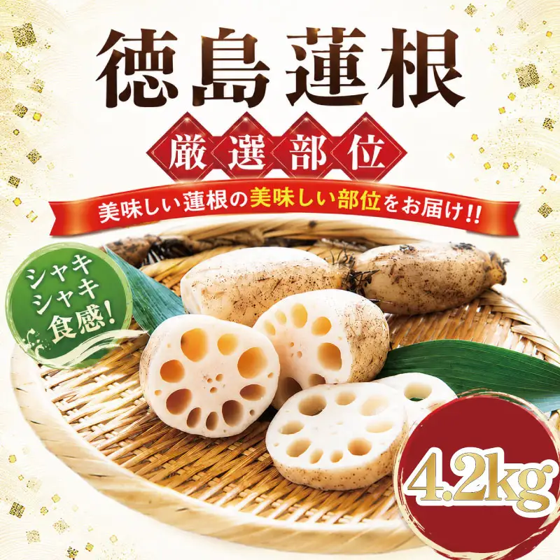 蓮根 厳選 こだわり部位セット 4.2kg