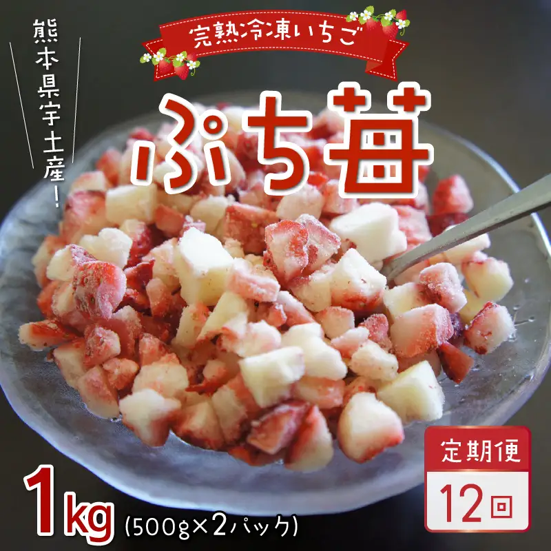 【先行受付】園村苺園　完熟冷凍いちご「ぷち苺」1kg（500g×2パック）【定期便 12回】_U74-T019_12