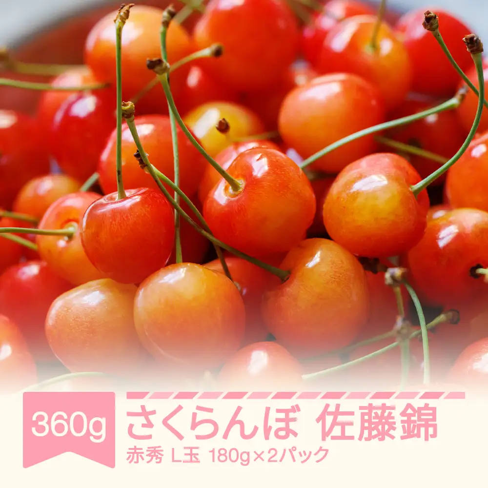 先行予約 さくらんぼ 佐藤錦 赤秀 L玉 180g×2 令和9年産 mm-snalx360