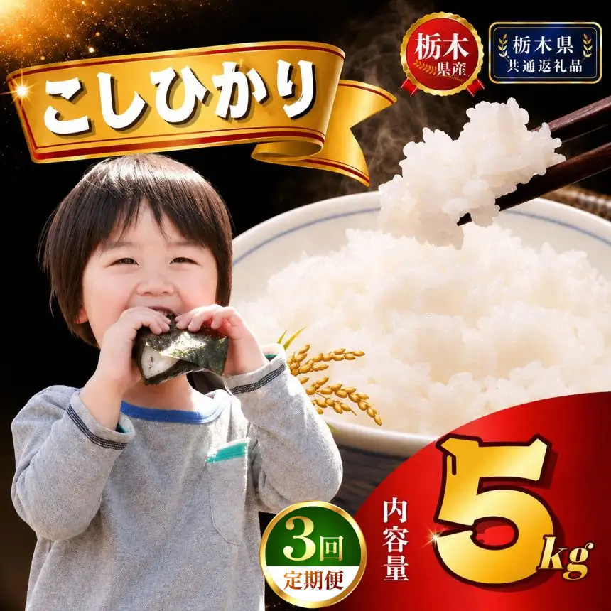 【新米】定期便3回 特Aこしひかり 5kg×1袋【栃木県共通返礼品 栃木県産】AB | 栃木県 下野市