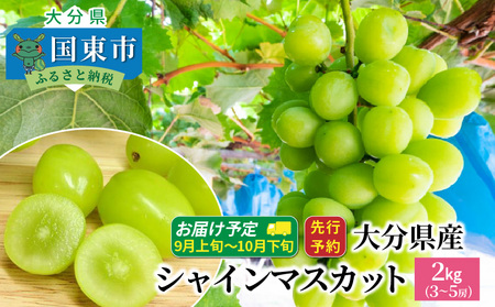 【先行予約】 おおいたの豊潤シャインマスカット約2㎏ 令和8年出荷分_1615R