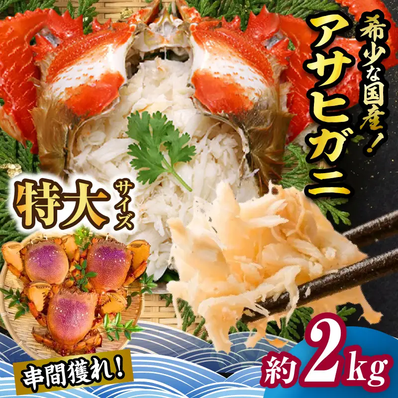 【先行予約】＜2026年11月より順次発送予定＞宮崎県串間市産 特大アサヒガニ2kg 国産 海鮮 カニ_K027-015-02