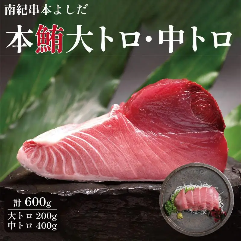 南紀串本よしだ 本鮪 大トロ サク 200g 中トロ サク 400gセット