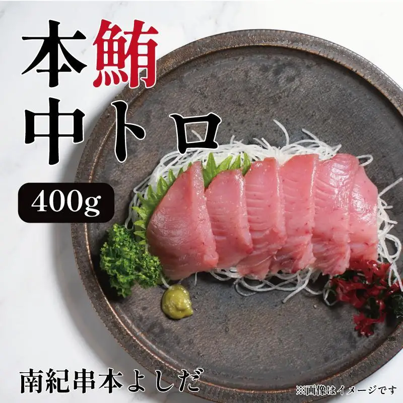 南紀串本よしだ 本鮪 中トロ サク400g