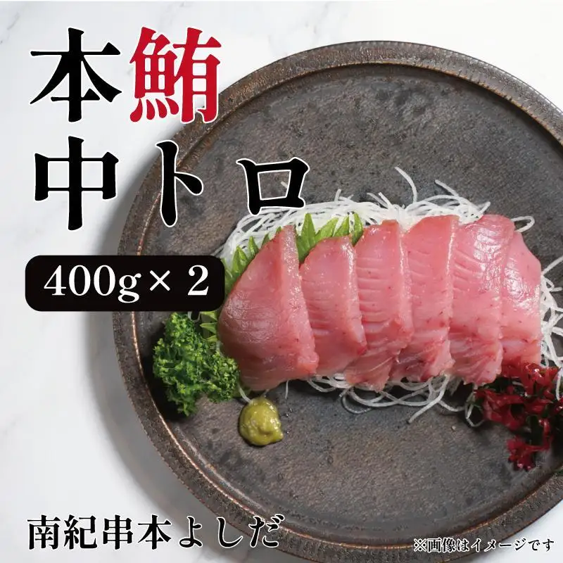 南紀串本よしだ 本鮪 中トロ サク 400g×2 合計 800g