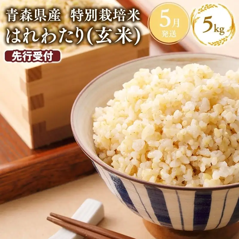 米 ≪令和8年産 先行予約≫ 特別栽培米 玄米 5kg はれわたり