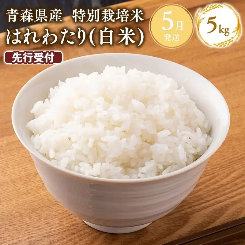 米 ≪令和8年産 先行予約≫特別栽培米 はれわたり 白米 5kg