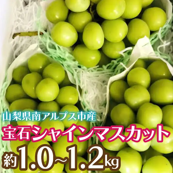 ＜2026年発送先行予約＞完熟 宝石シャインマスカット約1.0～1.2kg（2～3房） ALPCZ020