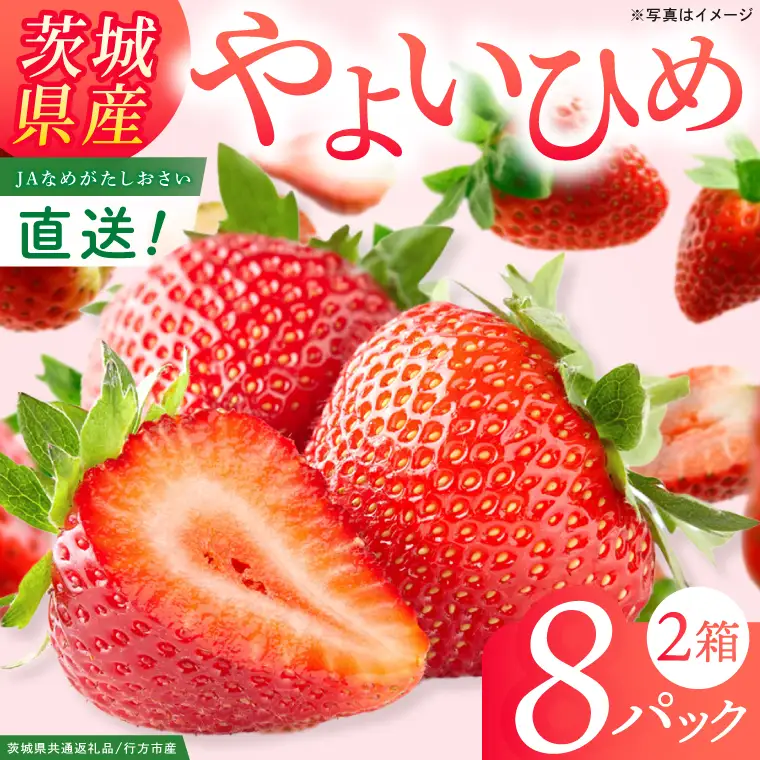 いちご やよいひめ イチゴ 苺 2箱 8パック JAなめがたしおさい直送 大粒 酸味 甘さ 減農薬 果物 フルーツ 冬 旬 【茨城県共通返礼品/行方市産】【先行予約｜2026年1月上旬より順次発送】(96-11)