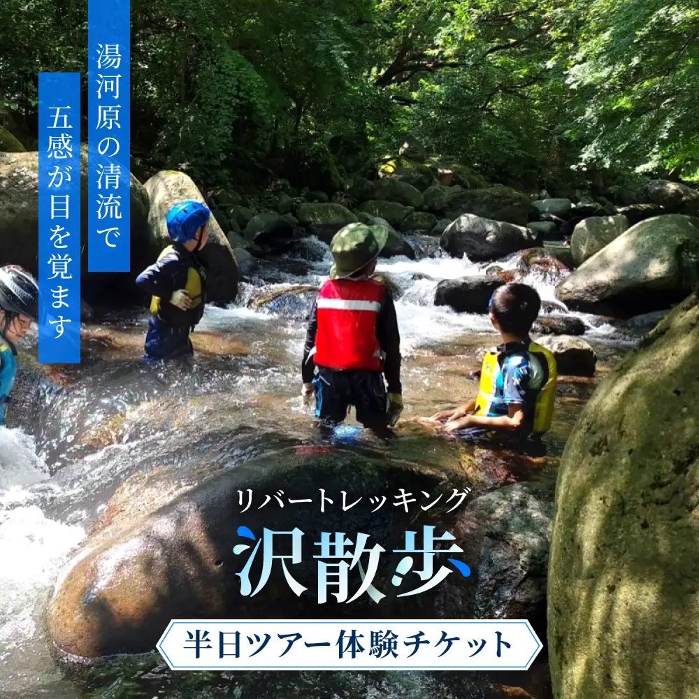 リバートレッキング「沢散歩」半日ツアー体験 | 湯河原町 初心者歓迎 自然体験 アウトドア 山歩き