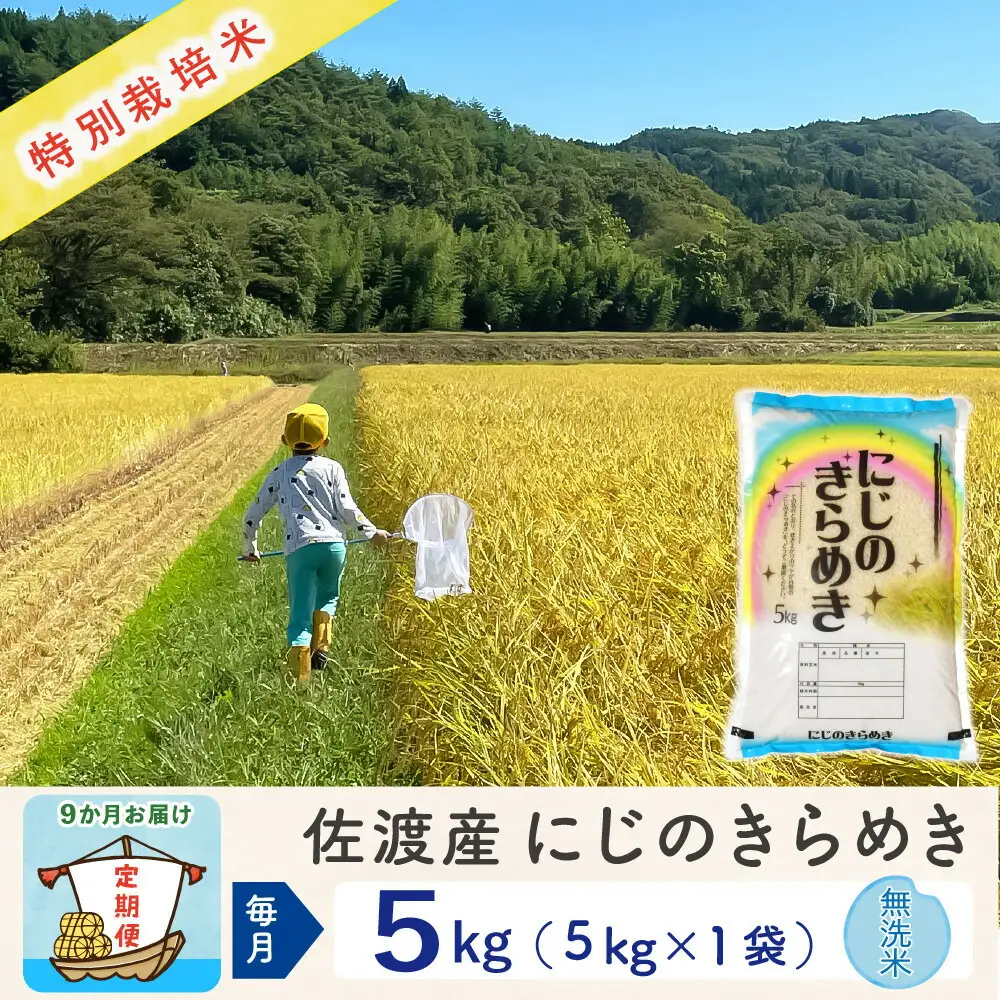 佐渡島産【9か月定期便 にじのきらめき】佐渡島産にじのきらめき 無洗米 合計45kg（5kg×毎月お届け全9回）令和8年産 新米 特別栽培米 195962-3623