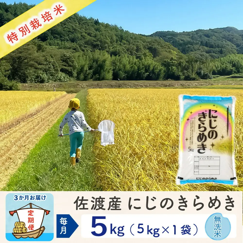 佐渡島産【3か月定期便 にじのきらめき】佐渡島産にじのきらめき 無洗米 合計15kg（5kg×毎月お届け全3回）令和8年産 新米 特別栽培米 195962-3423