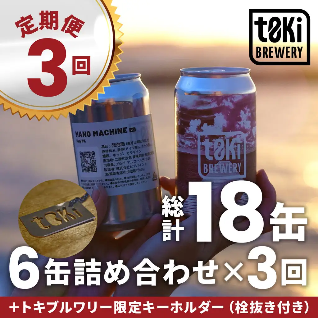 【3回定期便 3月・7月・11月】佐渡のクラフトビール t0ki brewery 3種6缶（360ml）