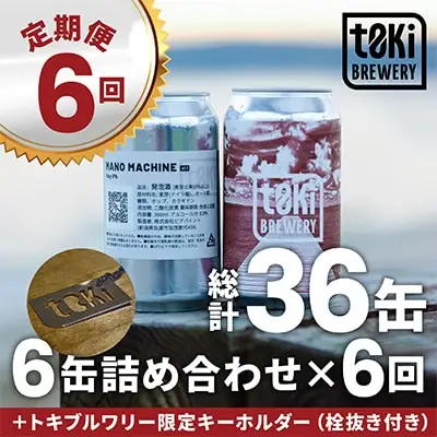 【6回定期便 偶数月】佐渡のクラフトビール t0ki brewery 3種6缶（360ml）クラフトビール