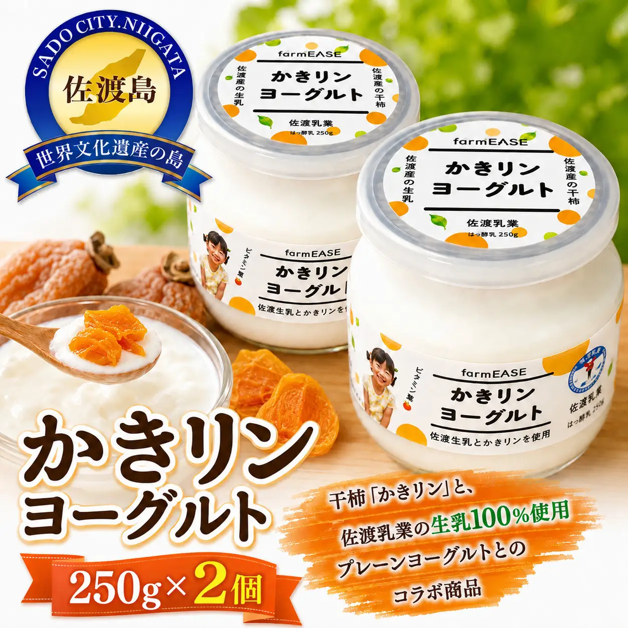 【佐渡産 かきリンヨーグルト】250g×2パック 佐渡産生乳100%使用 干柿入り 冷蔵