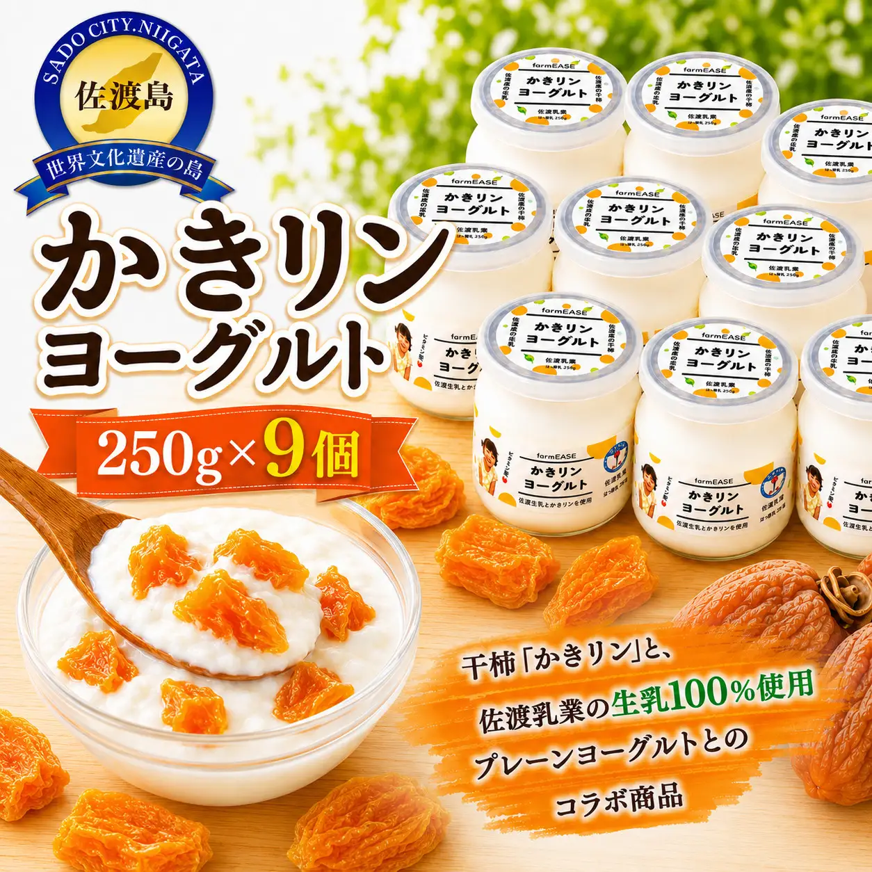 【佐渡産 かきリンヨーグルト】250g×9パック 佐渡産生乳100%使用 干柿入り 冷蔵