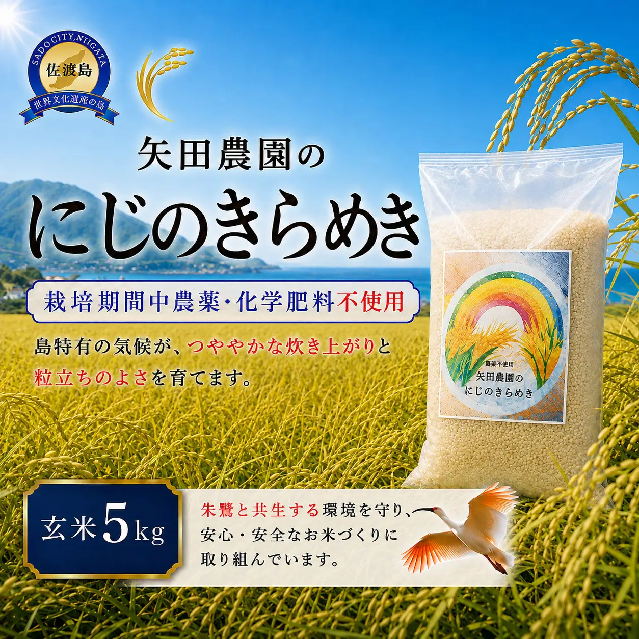 【令和8年産】佐渡産にじのきらめき 玄米5kg 栽培期間中 農薬・化学肥料不使用 矢田農園
