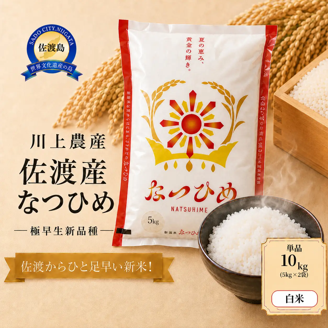 【なつひめ 10kg】令和8年産 佐渡産なつひめ 10kg(5kg×２袋) 精米 川上農産