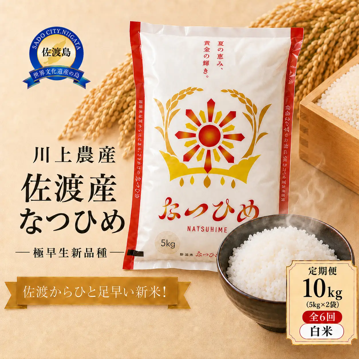 【6か月定期便  なつひめ】令和8年産 佐渡産なつひめ 合計60kg（10kg(5kg×2袋)×全6回）精米 川上農産