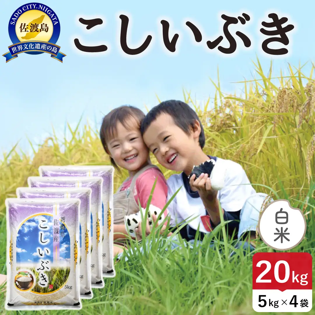 佐渡島産こしいぶき 白米 20kg 令和8年産 農薬5割減 土屋農園 195962-051602