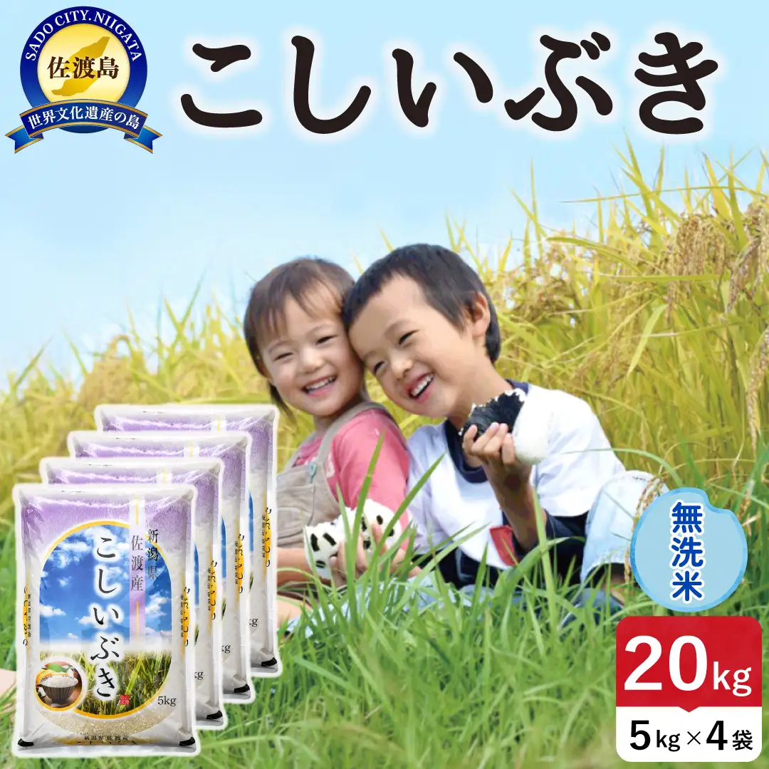 佐渡島産こしいぶき 無洗米 20kg 令和8年産 農薬5割減 土屋農園 195962-052602