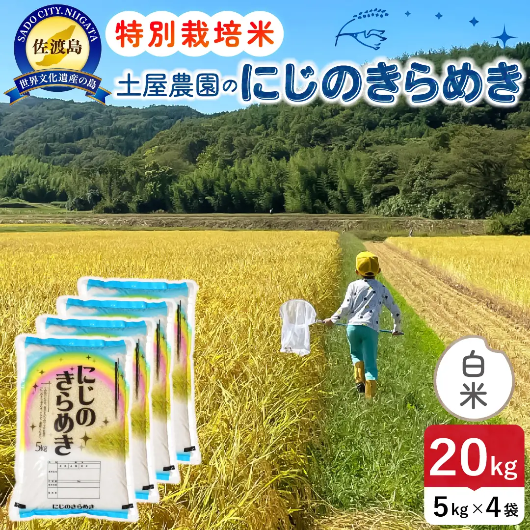 佐渡島産にじのきらめき 白米 20kg 令和8年産 特別栽培米 土屋農園 195962-041602