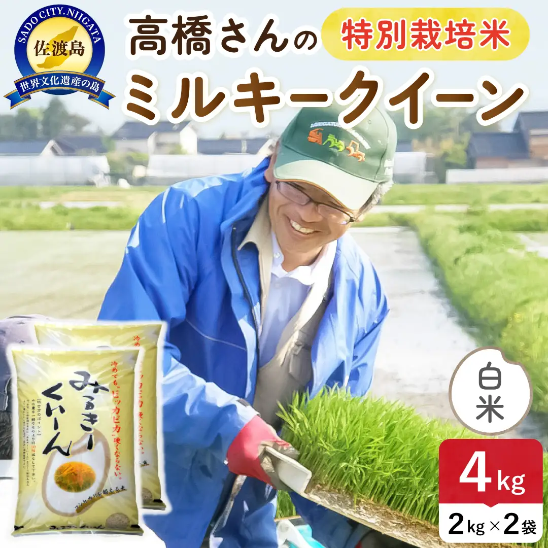 令和8年産 佐渡島産ミルキークイーン 白米4kg 特別栽培米 195962-071202