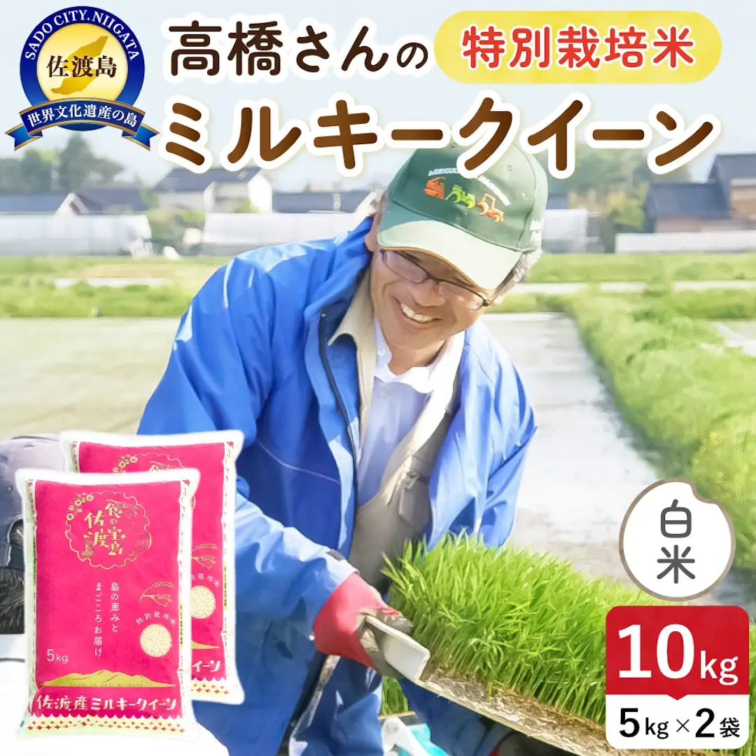 令和8年産 佐渡島産ミルキークイーン 白米10kg 特別栽培米 195962-071402