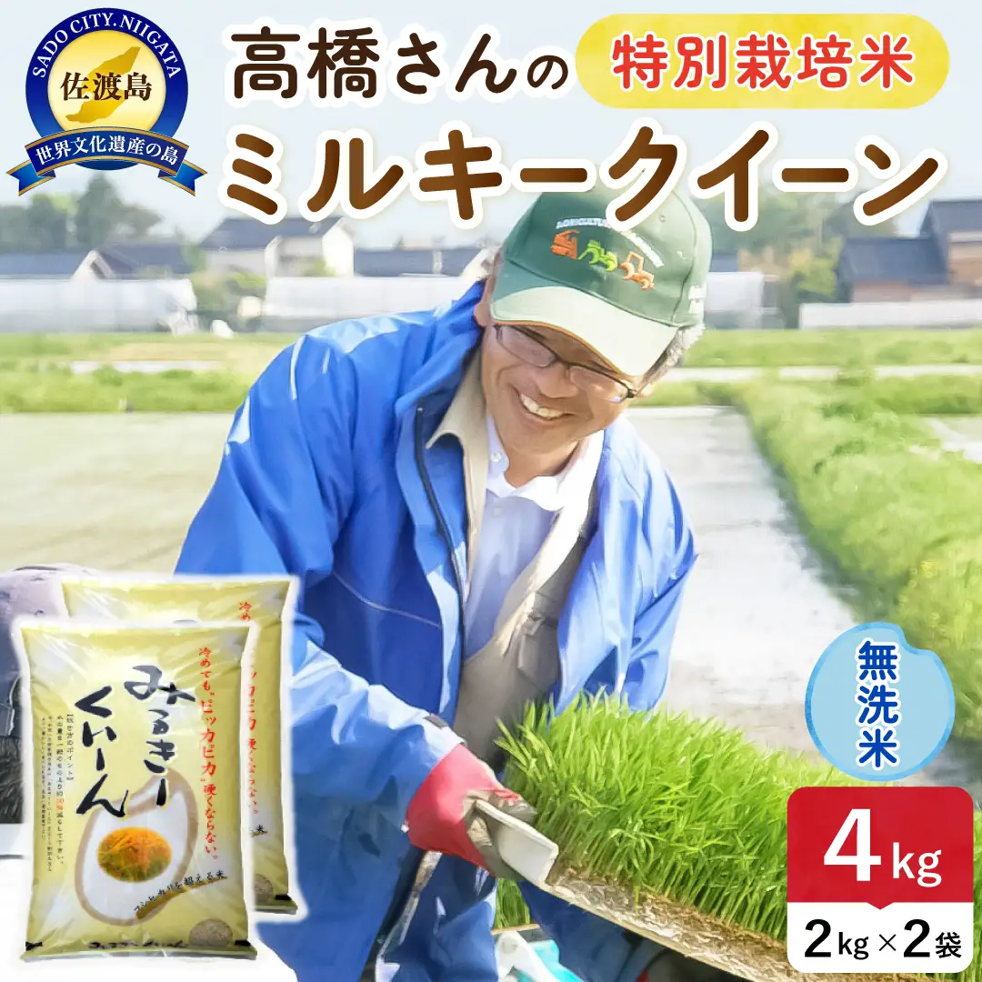 令和8年産 佐渡島産ミルキークイーン 無洗米4kg 特別栽培米 195962-072202