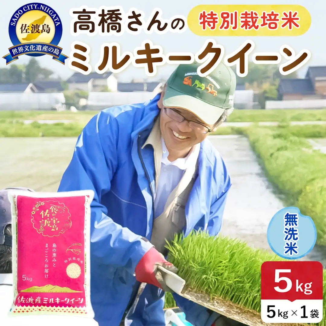 令和8年産 佐渡島産ミルキークイーン 無洗米5kg 特別栽培米 195962-072302