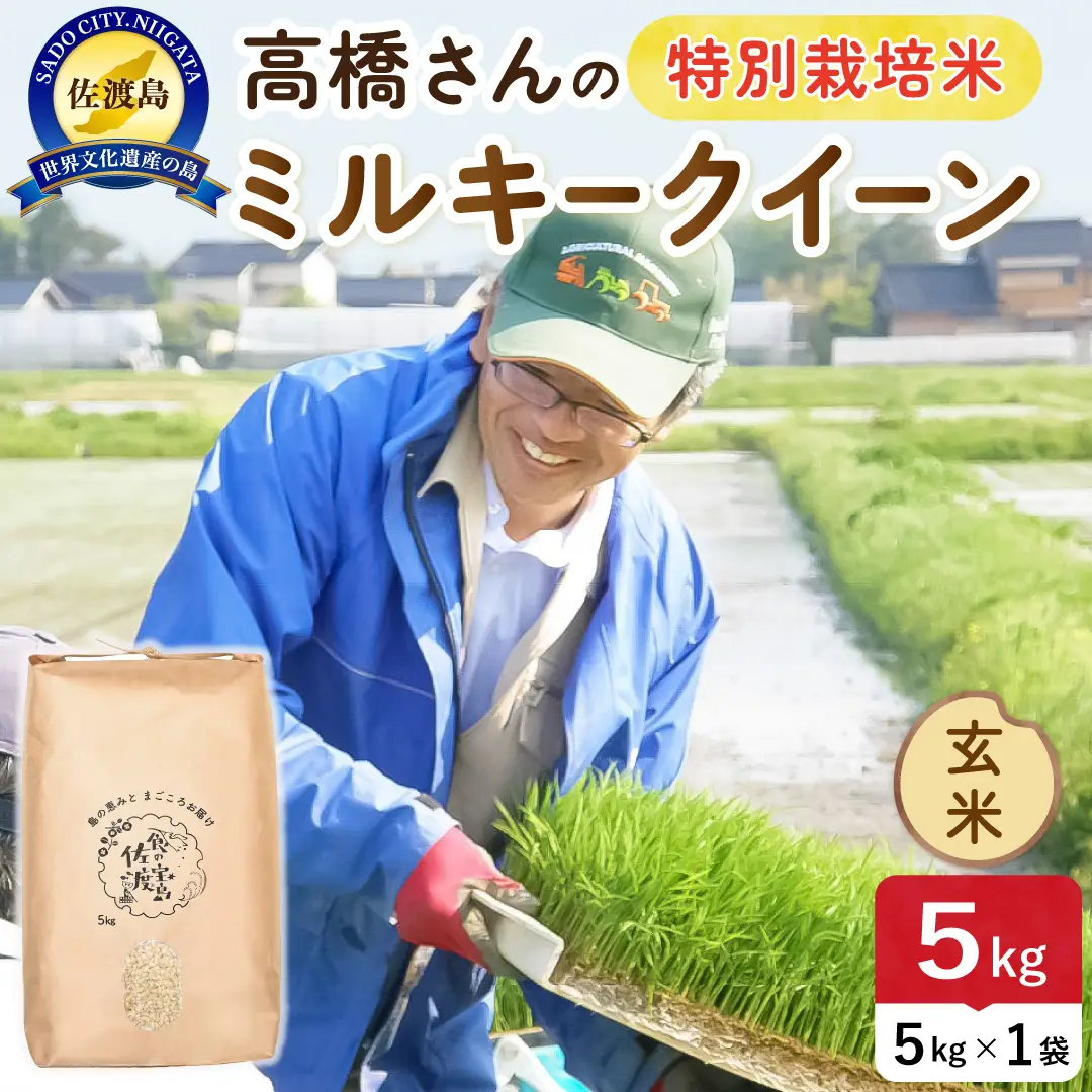 令和8年産 佐渡島産ミルキークイーン 玄米5kg 特別栽培米 195962-074302