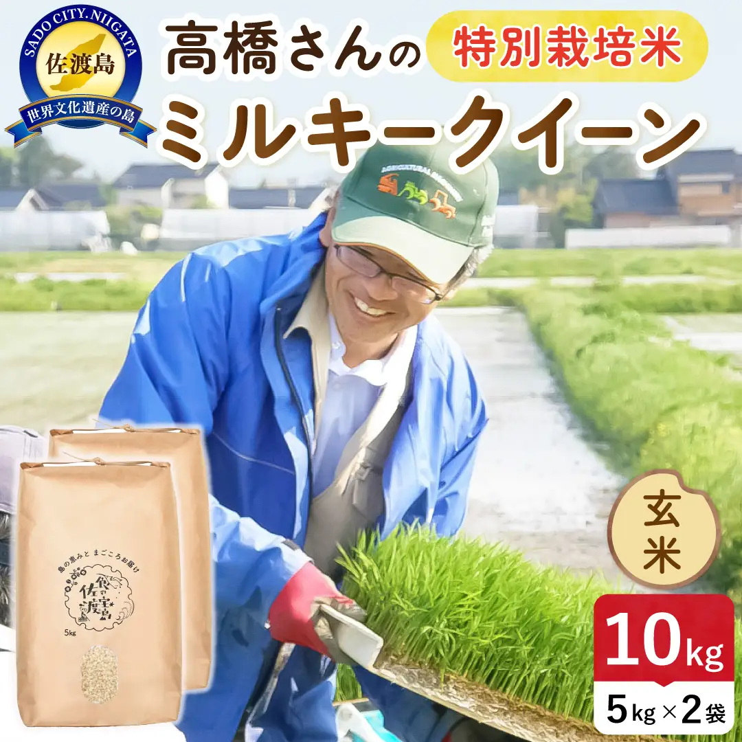 令和8年産 佐渡島産ミルキークイーン 玄米10kg 特別栽培米 195962-074402
