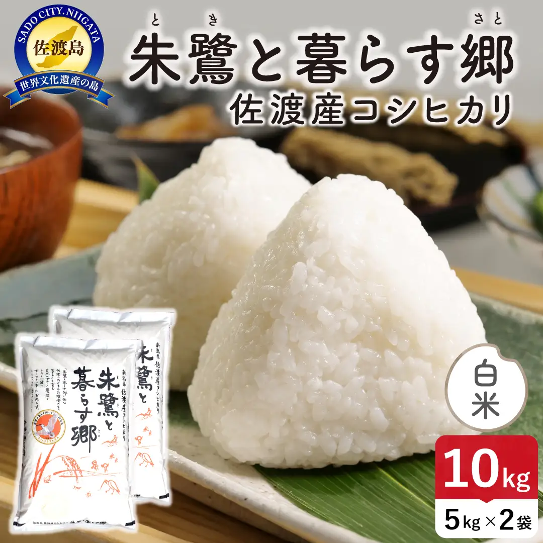 令和8年産 佐渡島産 朱鷺と暮らす郷 白米10kg 特別栽培米 195962-091402