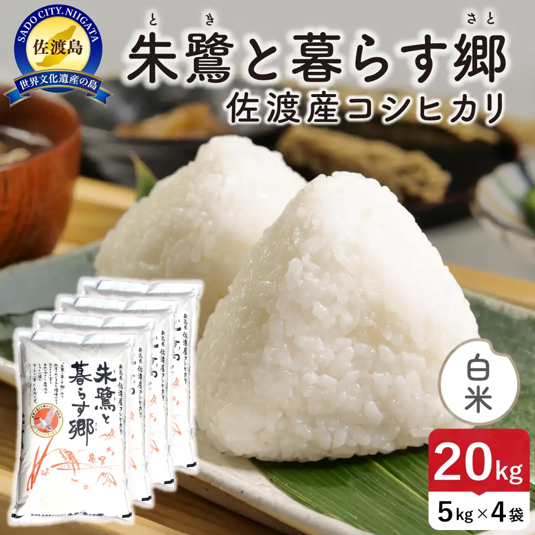 令和8年産 佐渡島産 朱鷺と暮らす郷 白米20kg 特別栽培米 195962-091602