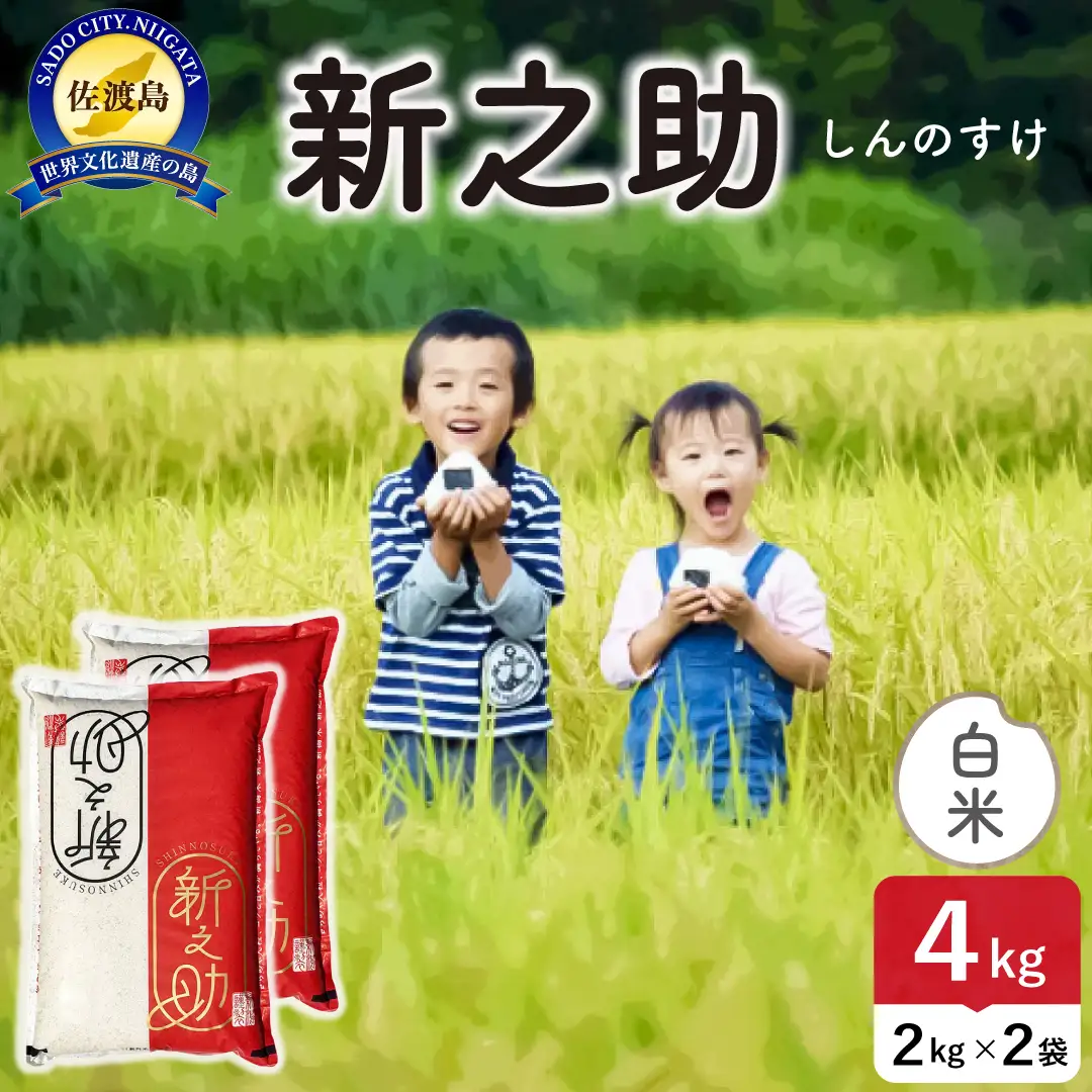令和8年産 佐渡島産 新之助 白米4kg 195962-101202