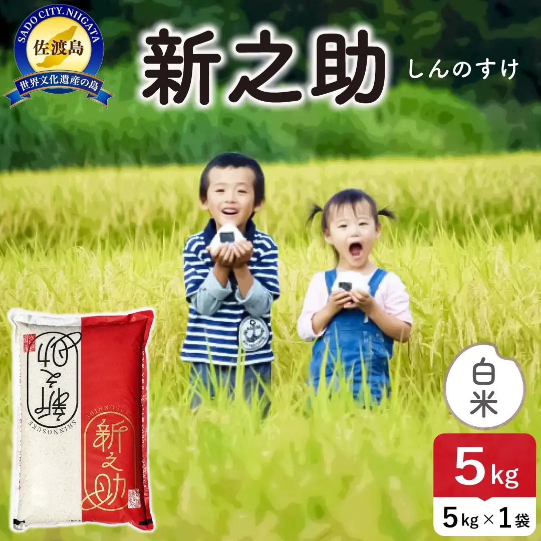 令和8年産 佐渡島産 新之助 白米5kg 195962-101302