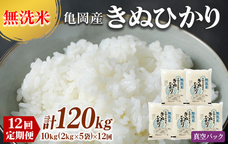 定期便 無洗米 10kg 12ヶ月 真空パック 京都丹波産 キヌヒカリ 12回定期便 10kg （2kg×5袋） 12回 計120kg