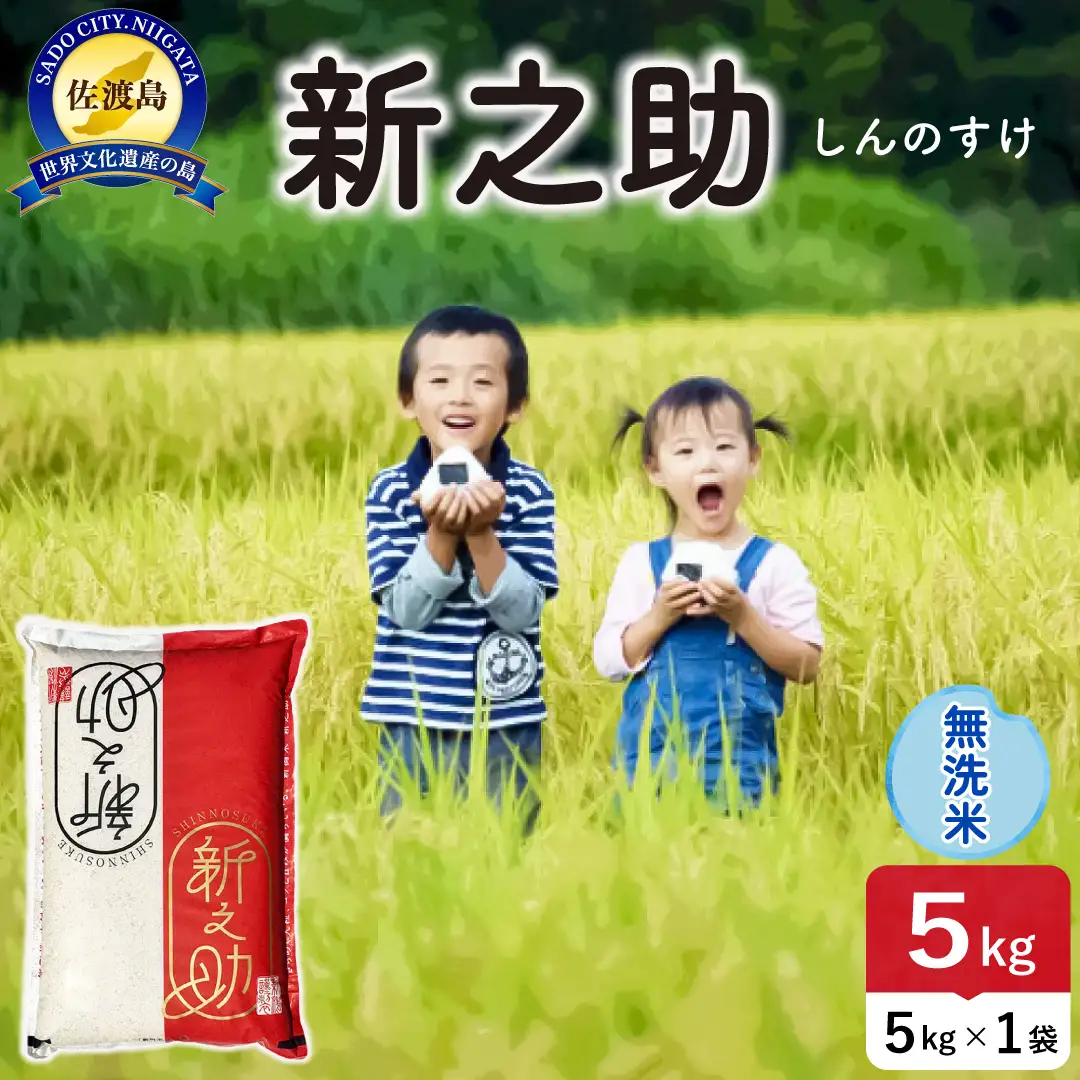 令和8年産 佐渡島産 新之助 無洗米5kg 195962-102302