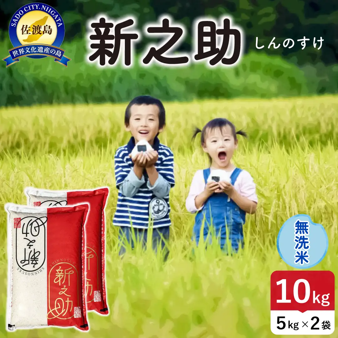 令和8年産 佐渡島産 新之助 無洗米10kg 195962-102402