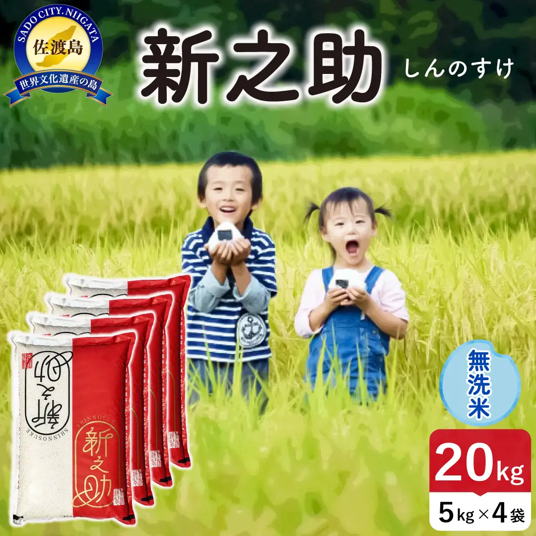 令和8年産 佐渡島産 新之助 無洗米20kg 195962-102602